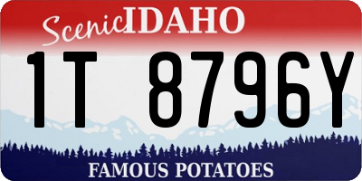 ID license plate 1T8796Y