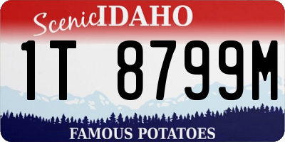 ID license plate 1T8799M
