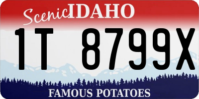 ID license plate 1T8799X