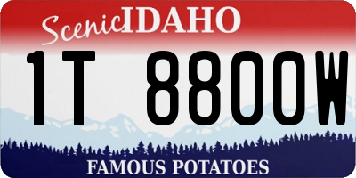 ID license plate 1T8800W