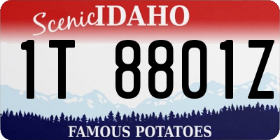 ID license plate 1T8801Z