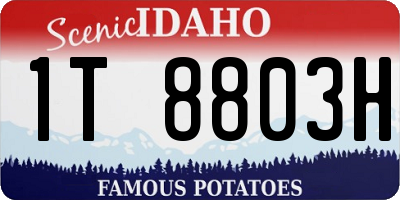 ID license plate 1T8803H