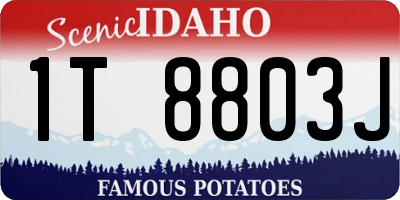 ID license plate 1T8803J