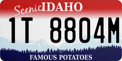 ID license plate 1T8804M