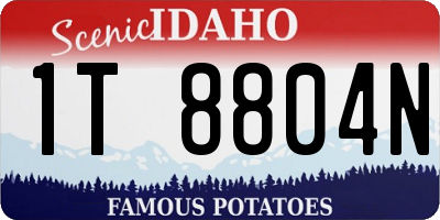 ID license plate 1T8804N