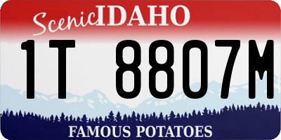 ID license plate 1T8807M