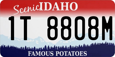 ID license plate 1T8808M