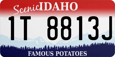 ID license plate 1T8813J
