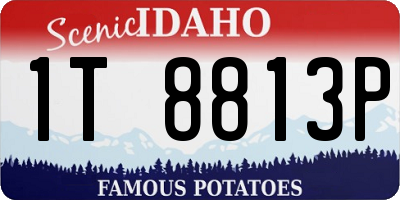 ID license plate 1T8813P