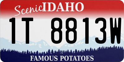 ID license plate 1T8813W
