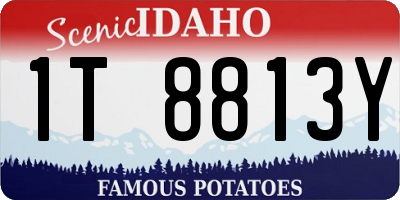 ID license plate 1T8813Y