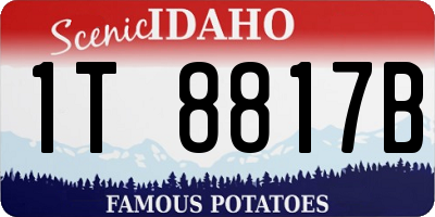 ID license plate 1T8817B