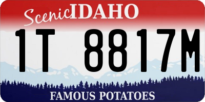 ID license plate 1T8817M