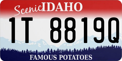 ID license plate 1T8819Q