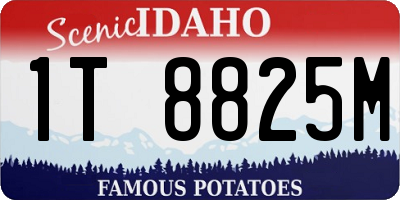 ID license plate 1T8825M