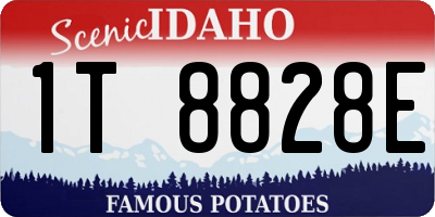 ID license plate 1T8828E