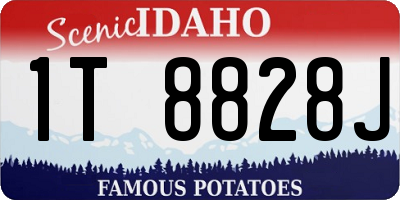 ID license plate 1T8828J