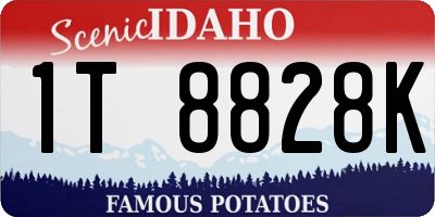 ID license plate 1T8828K