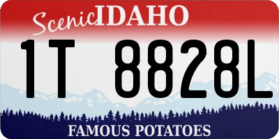 ID license plate 1T8828L