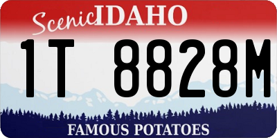 ID license plate 1T8828M