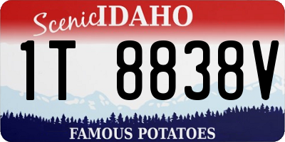 ID license plate 1T8838V