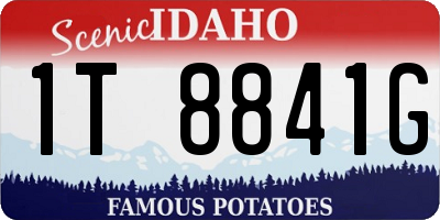 ID license plate 1T8841G