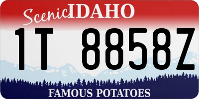 ID license plate 1T8858Z