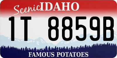 ID license plate 1T8859B