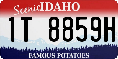 ID license plate 1T8859H
