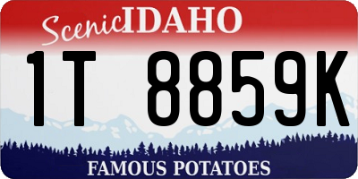 ID license plate 1T8859K