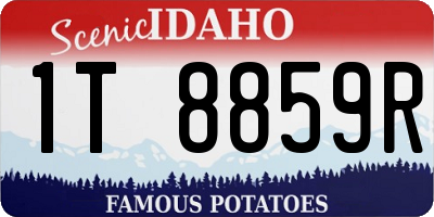 ID license plate 1T8859R