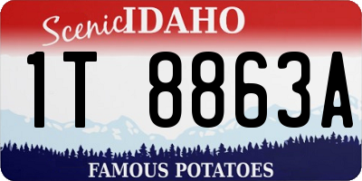 ID license plate 1T8863A
