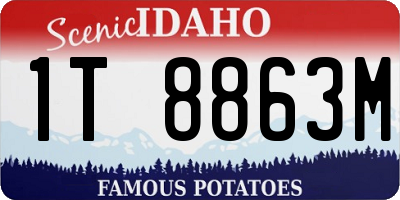ID license plate 1T8863M