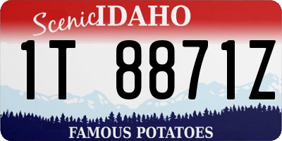 ID license plate 1T8871Z