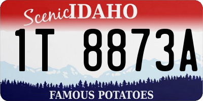 ID license plate 1T8873A