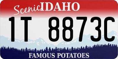 ID license plate 1T8873C