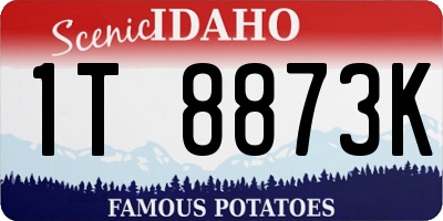 ID license plate 1T8873K
