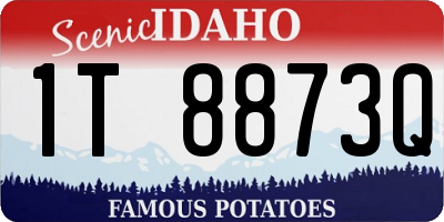 ID license plate 1T8873Q