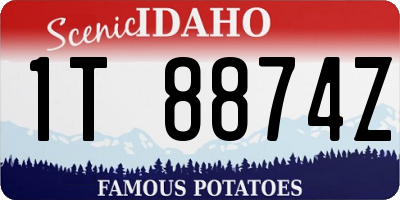 ID license plate 1T8874Z