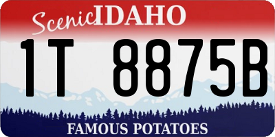 ID license plate 1T8875B