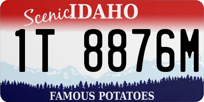 ID license plate 1T8876M