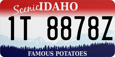 ID license plate 1T8878Z