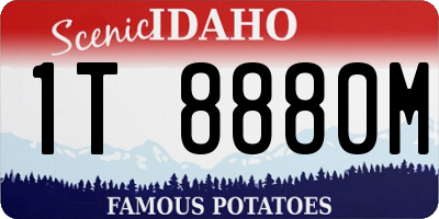 ID license plate 1T8880M