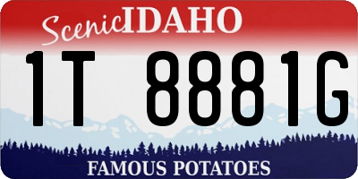 ID license plate 1T8881G