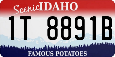 ID license plate 1T8891B