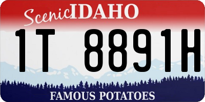 ID license plate 1T8891H