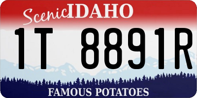 ID license plate 1T8891R