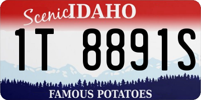 ID license plate 1T8891S
