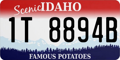 ID license plate 1T8894B