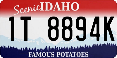 ID license plate 1T8894K